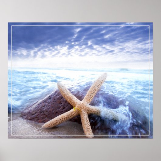 Poster-Starfish Poster (Voorkant)