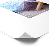 Poster-Starfish Poster (Hoek)