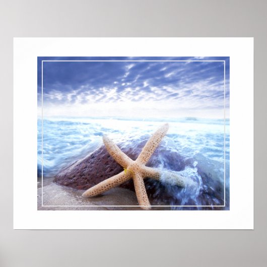 Poster-Starfish Poster (Voorkant)