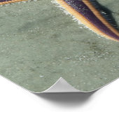 Poster Starfish Purple étoile de mer sur la plage (Coin)