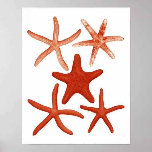 Poster Starfish rouge no.1 Plage Décor Mur Art (Devant)