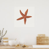 Poster Starfish - Sherman Denton Fish Lithograph (Cuisine)