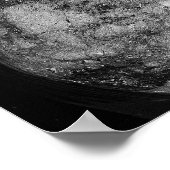 Poster Starfish sur Rocks (Coin)