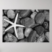 Poster Starfish sur Rocks (Devant)