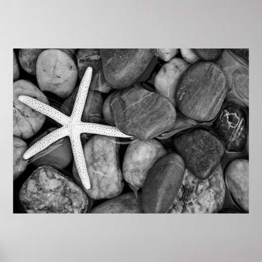 Poster Starfish sur Rocks (Devant)
