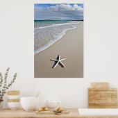 Poster Starfish Sur Une Plage Éloignée (Cuisine)