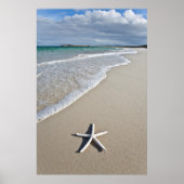 Poster Starfish Sur Une Plage Éloignée (Devant)
