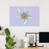 Poster Starflower (Bureau à domicile)