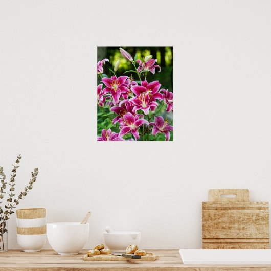 Poster Stargazer Lilies (Cuisine)