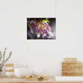 Poster Stargazer Lilies #20 (Cuisine)
