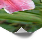 Poster Stargazer Lilies Jardin Floral (Coin)