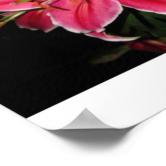 Poster Stargazer Lilly (Coin)