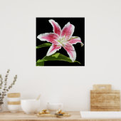 Poster Stargazer Lily (Cuisine)