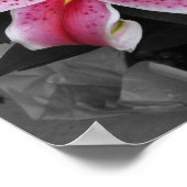 Poster Stargazer Lily (Coin)