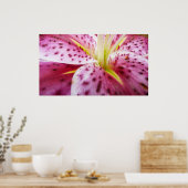 Poster Stargazer Lily brillant Magenta Floral (Cuisine)
