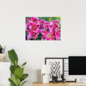 Poster Stargazer Rose Oriental Lys D'Été Fin (Bureau à domicile)