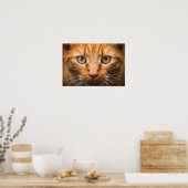 Poster Staring Cat (Cuisine)