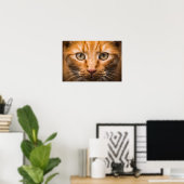 Poster Staring Cat (Bureau à domicile)