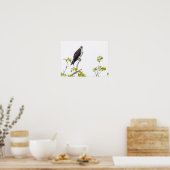 Poster Staring Osprey (Cuisine)