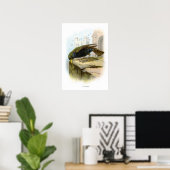 Poster Starling (Bureau à domicile)