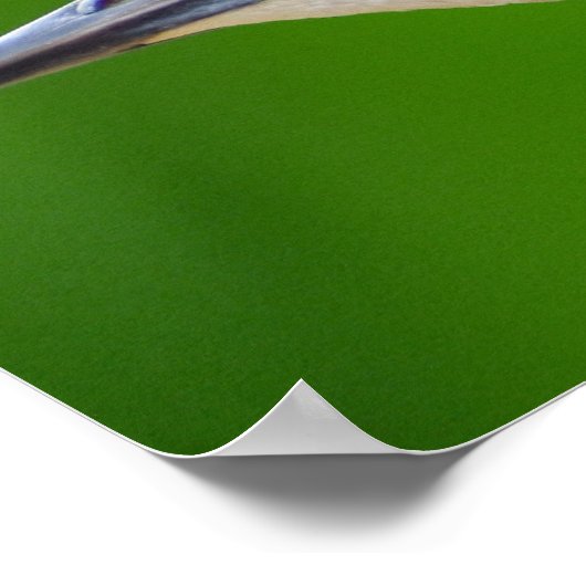 Poster Starling commun/européen (Coin)