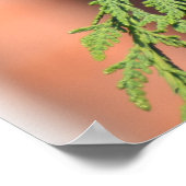 Poster Starling européen (Coin)