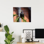 Poster Starling européen (Bureau à domicile)