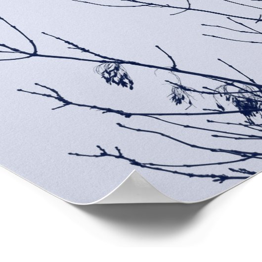 Poster Starlings dans un arbre (Coin)