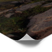 Poster Starr's Mill (Coin)