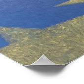 Poster Starry Blue et Gold (Coin)