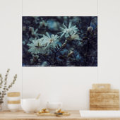 Poster Starry Magnolia (Cuisine)