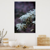 Poster Starry Magnolia (Cuisine)