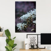 Poster Starry Magnolia (Bureau à domicile)