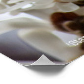 Poster Starry Magnolia 5781 (Coin)