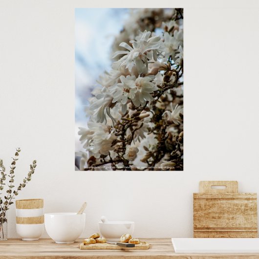 Poster Starry Magnolia 5781 (Cuisine)