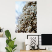 Poster Starry Magnolia 5781 (Bureau à domicile)