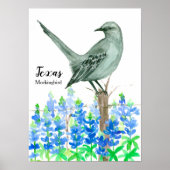 Poster State Bird of Texas Mockingbird (Devant)