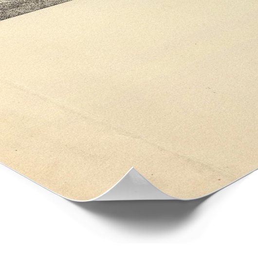 Poster State Capitol, Madison, Wis (Coin)