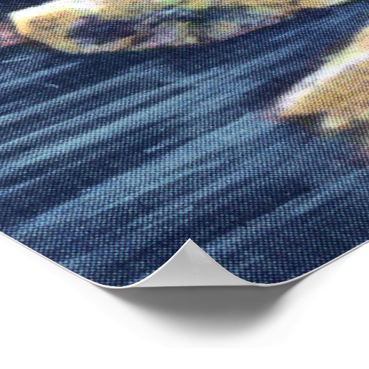 Poster State Park Statue indienne (Coin)