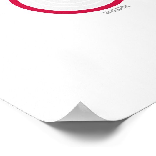 Poster Stations et lignes : Washington, DC (Light) (Coin)