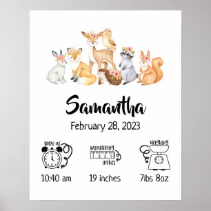 Poster Statistiques de naissance d'animaux de la forêt bo
