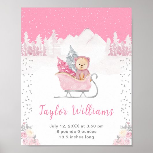 Poster Statistiques de naissance de Winter Bear Pink Slei (Devant)