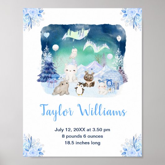 Poster Statistiques de Naissance des Animaux Arctiques de (Devant)