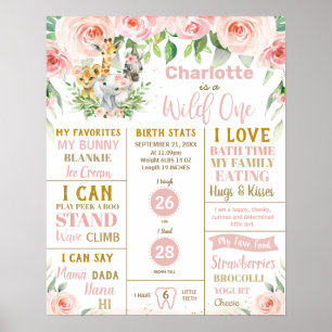 Poster Statistiques du premier anniversaire des animaux d