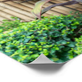 Poster Statue de Bouddha Garden Art mur (Coin)