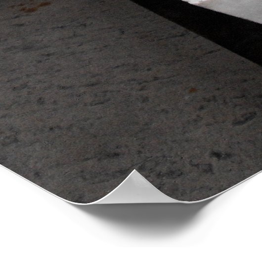 Poster Statue de Charles Darwin (Coin)