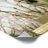 Poster Statue de Jules César (Coin)