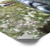 Poster Statue de Kannon (Kwan Yin) sur le mont Kurama (Coin)