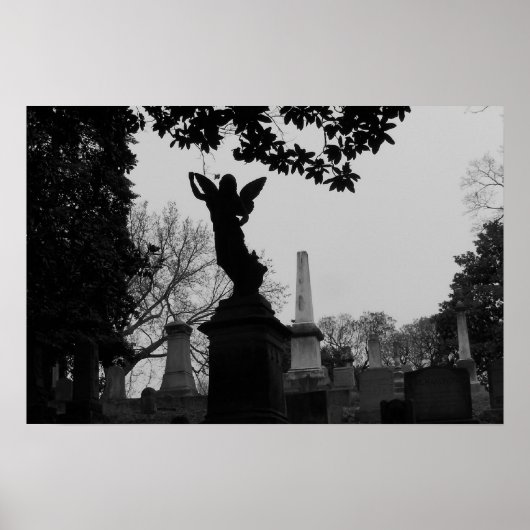 Poster Statue de l'ange noir et blanc (Devant)