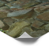 Poster Statue de Lorelei (Coin)